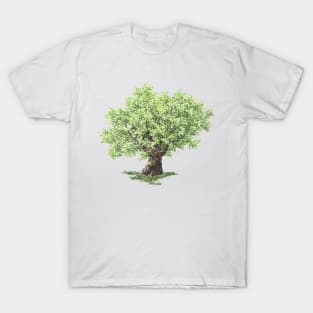 August birthday oak tree T-Shirt